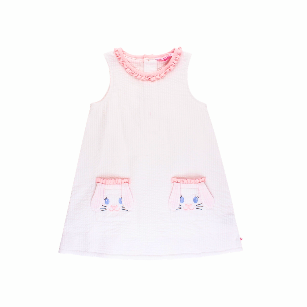 Bunny Seersucker Dress