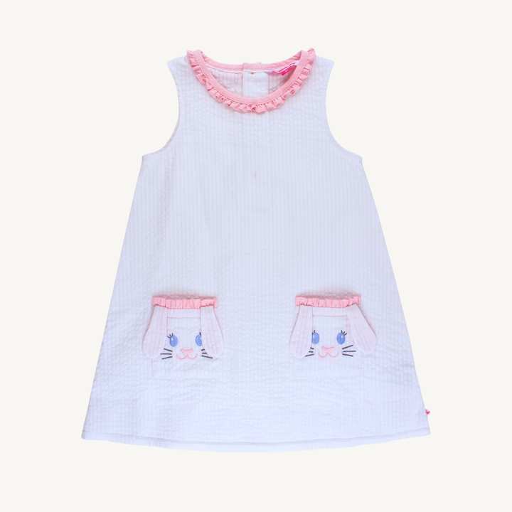 The La Jolla Pink Bunny Ears Seersucker Dress
